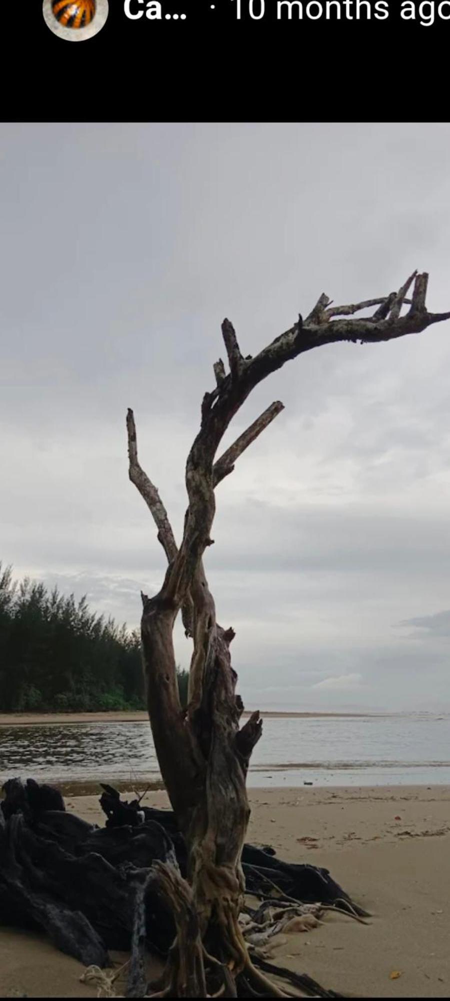 The Mangrove Villa Sematan Bagian luar foto