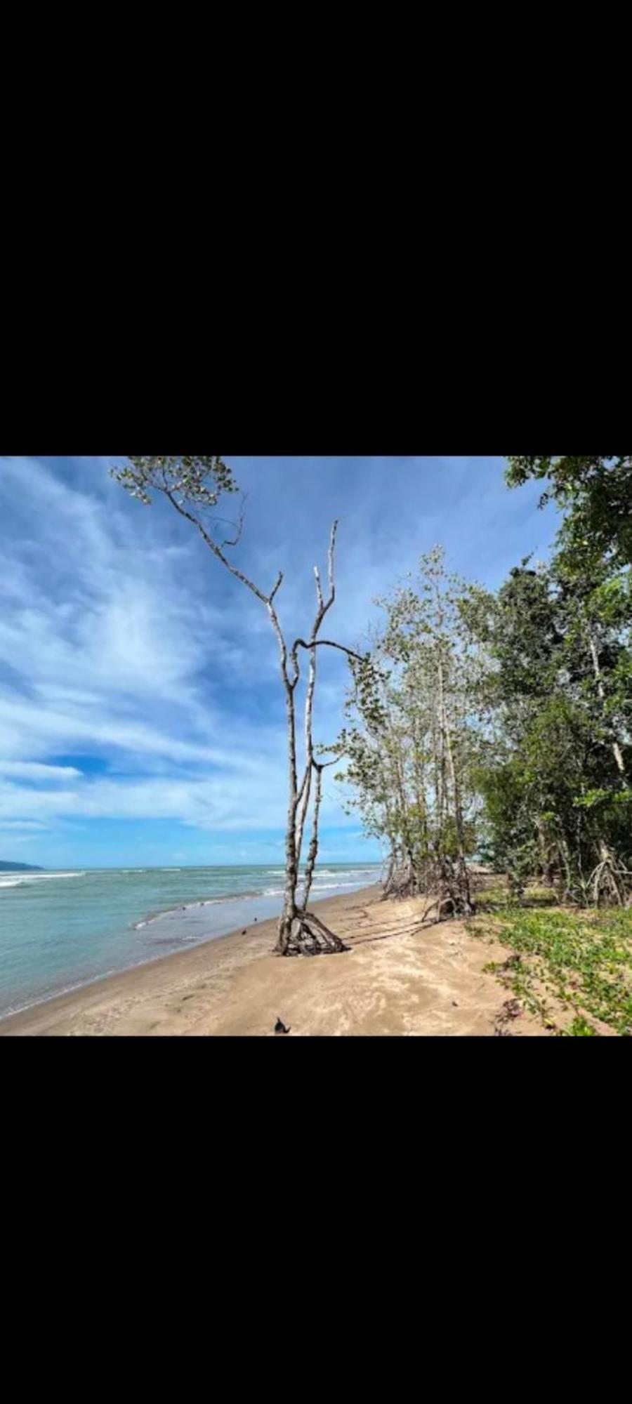 The Mangrove Villa Sematan Bagian luar foto
